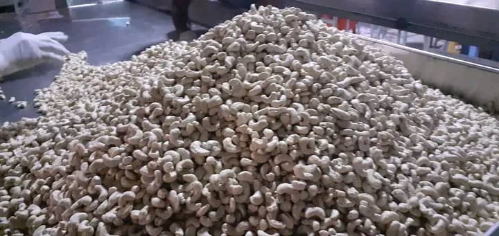 Kinteh Cashews — Whole Cashew Nuts (12 x 150g)